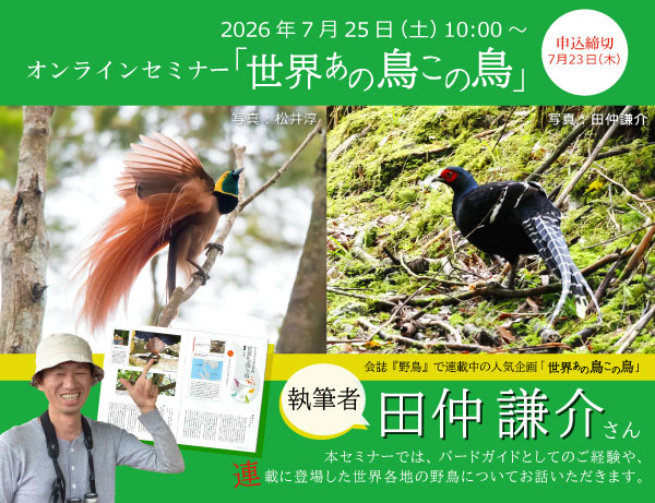 日本野鳥の会オンラインセミナー「世界あの鳥この鳥」