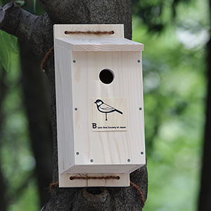 オンラインワークショップのようす