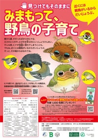 キャンペーンポスター写真
