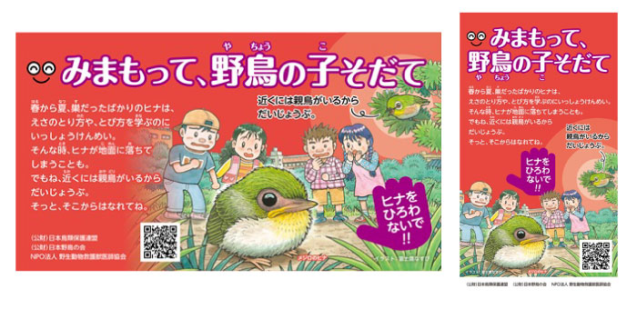 みまもって、野鳥の子そだてポスター