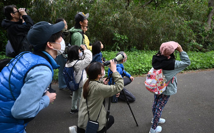 双眼鏡で野鳥を観察している様子