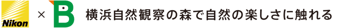 Nikon×公益財団法人日本野鳥の会 横浜自然観察の森で自然の楽しさに触れる
