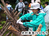 そだ木をつくろう