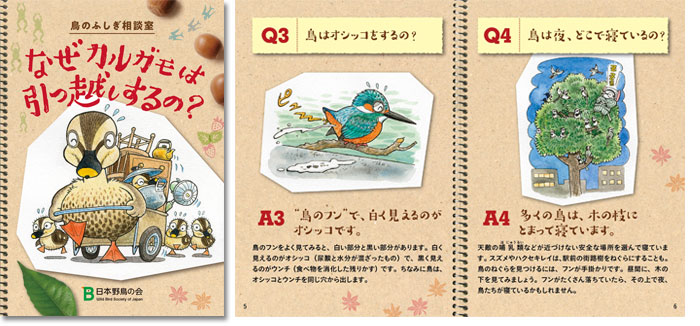 日本野鳥の会 小冊子 なぜカルガモは引っ越しするの 鳥のふしぎ相談室 プレゼント
