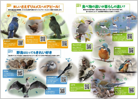 『動画で分かる野鳥のしぐさ・行動 観察BOOK』内容