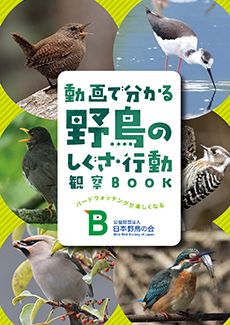 『動画で分かる野鳥のしぐさ・行動 観察BOOK』