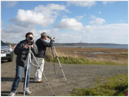 訪れた水鳥の数の変化を調べる写真