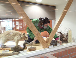 展示物の写真