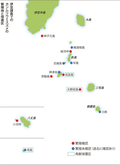 伊豆諸島でのカンムリウミスズメの繁殖地と保護区