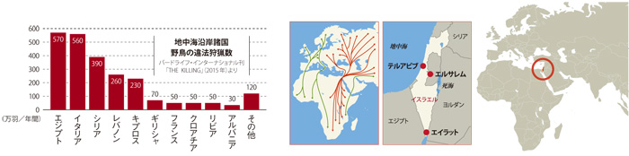 渡り鳥の回廊 イスラエルレポート