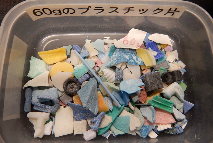 沖縄県西表島の海岸で採取したプラスチック片の写真