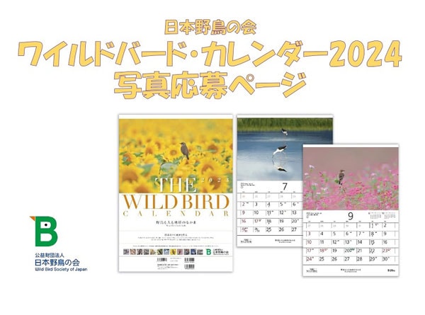 ワイルドバードカレンダーイメージ