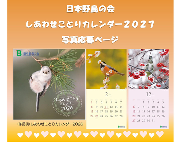 しあわせことりカレンダーイメージ