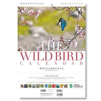 日本野鳥の会 : オリジナルカレンダー