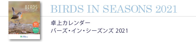 卓上カレンダー バーズ・イン・シーズンズ 2021
