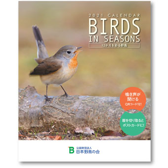 日本野鳥の会 オリジナルカレンダー