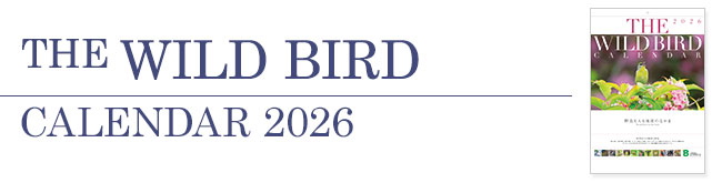 The WILD BIRD CALENDAR 2026