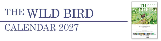 しあわせことりカレンダー2027