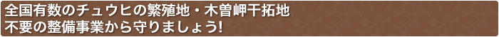 全国有数のチュウヒの繁殖地・木曽岬干拓地不要の整備事業から守りましょう!