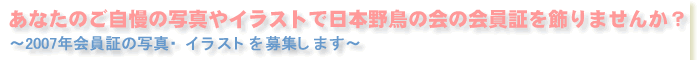 あなたのご自慢の写真やイラストで日本野鳥の会の会員証を飾りませんか? 〜2007年会員証の写真・イラストを募集します〜