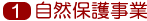 �P�D���R�ی쎖��