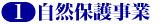�P�D���R�ی쎖��