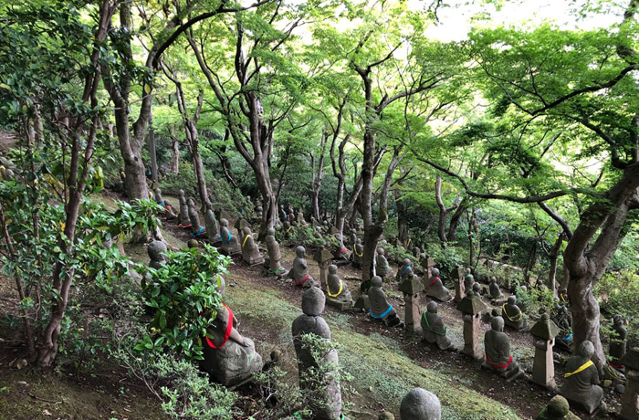 鳥山 観音山 野鳥の森散策 | ZiZiのセカンドライフブログ