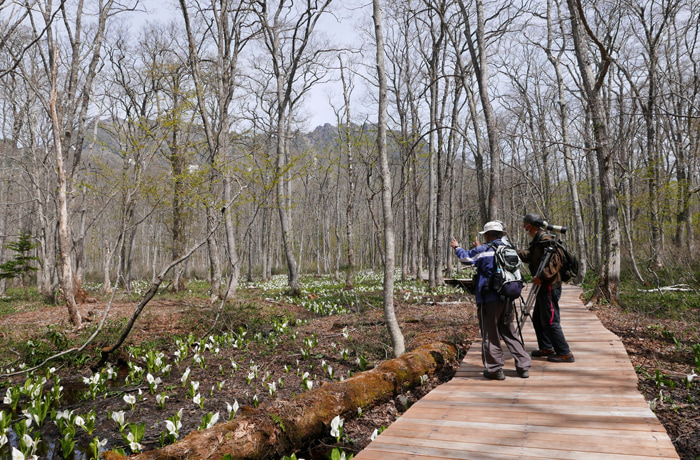 日本野鳥の会 : 戸隠森林植物園（長野県長野市）