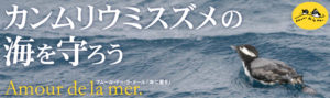 カンムリウミスズメ保護の取り組み