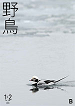 日本野鳥の会 : 会誌『野鳥』