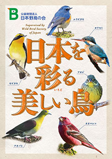 日本の鳥　写真集 OGP_pl.jpg
