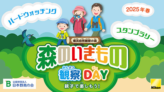 日本野鳥の会 : 「森のいきもの観察DAY〜親⼦で楽しもう！（2025春