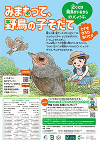 野鳥の子育て応援キャンペーン