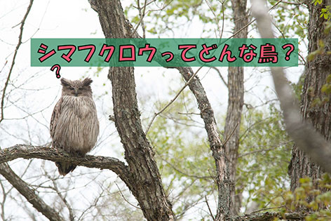 1208e8bf8fa3c22902e0fcd1639574