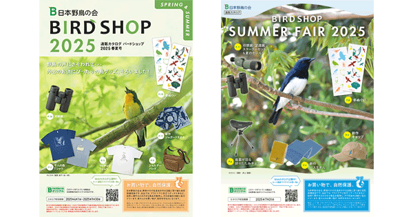 【レア・非売品】エクセレント・バードコレクション5枚組 日本野鳥紀行 nihonnotori300kai.jpg