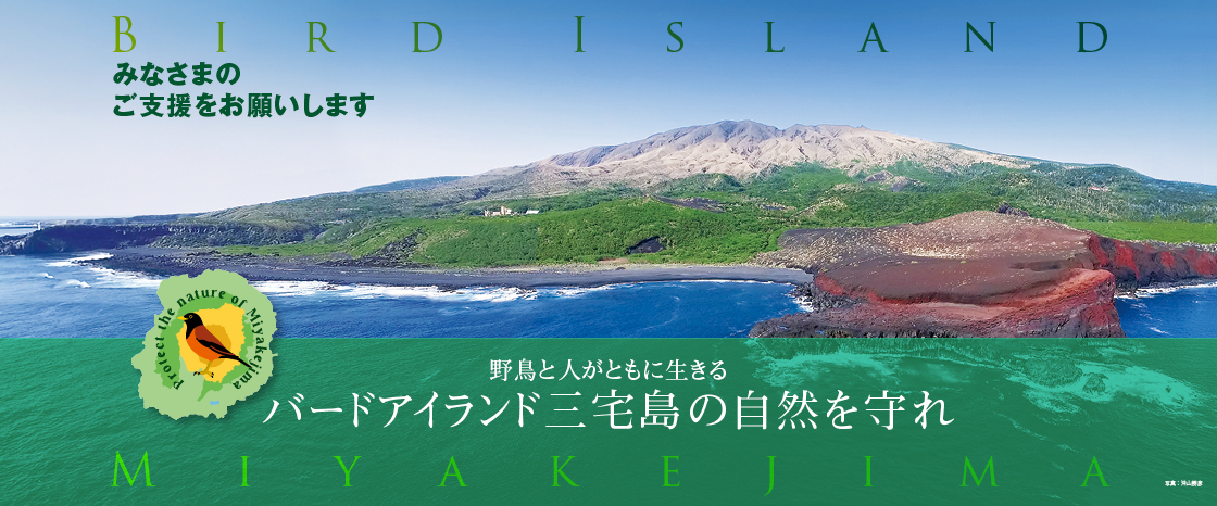 日本野鳥の会 : バードアイランド三宅島の自然を守れ