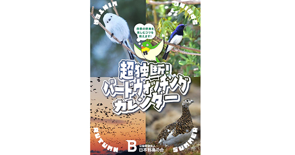 日本野鳥の会 : プレスリリース：バードウォッチングの一年がわかる
