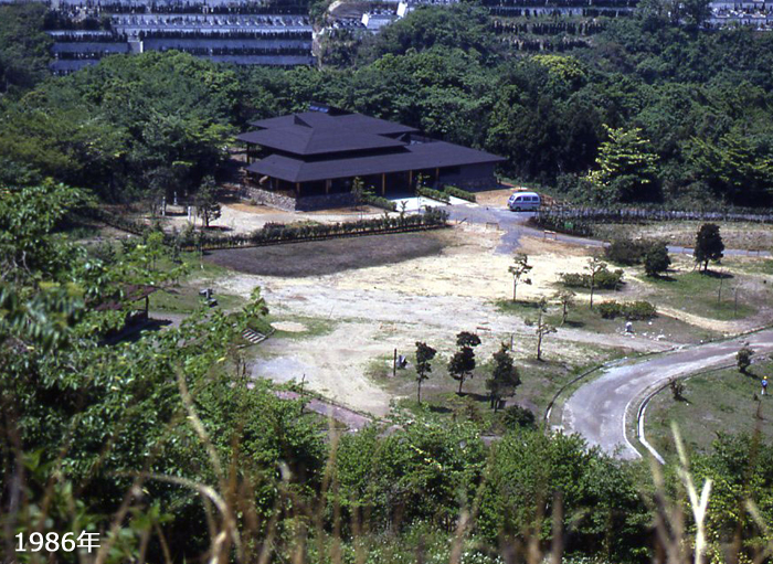 Before image