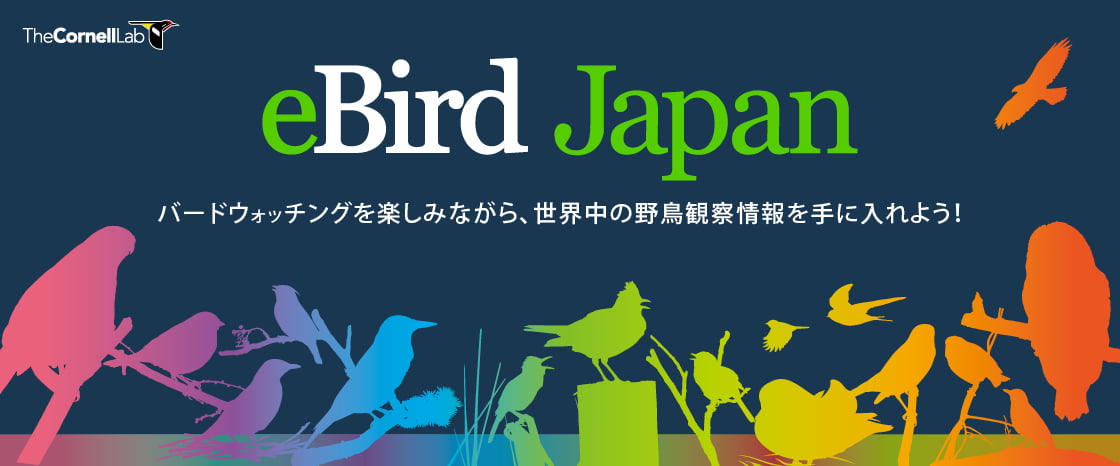 バードウォッチングを楽しみながら、世界中の野鳥観察情報を手に入れよう！