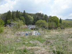 避難を余儀なくされ、荒れた田畑(帰還困難区域)