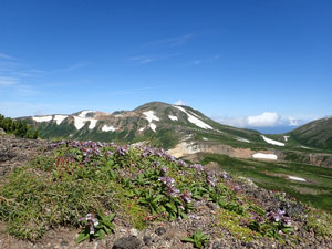 大雪山　写真：柳田弘子