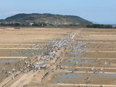 金井裕