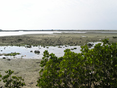 山田泰広