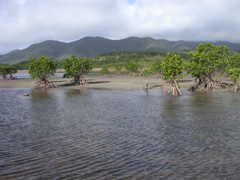 佐野清貴