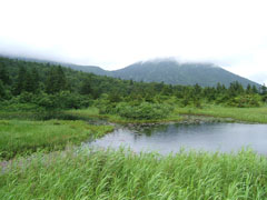 高橋雅雄