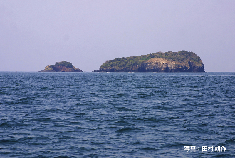 大机島と小机島
