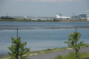 多摩川河口