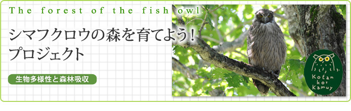 The forest of the fish owl　シマフクロウの森を育てよう！プロジェクト　～生物多様性と森林吸収量～