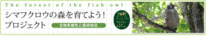The forest of the fish owl　シマフクロウの森を育てよう！プロジェクト　～生物多様性と森林吸収量～