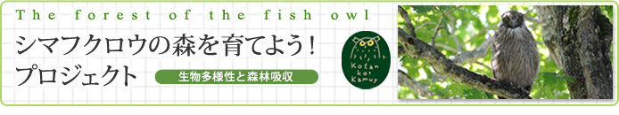 The forest of the fish owl@V}tNE̐XĂ悤IvWFNg@`lƐXыzʁ`